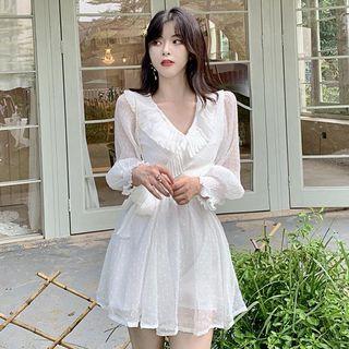 Dotted Mesh Panel Blouse / Skort