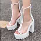 Clear Panel Peep Toe Chunky Heel Platform Boots
