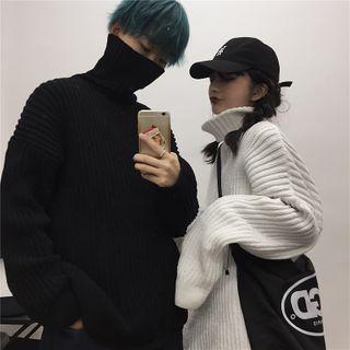 Turtle-neck Rib Knit Sweater