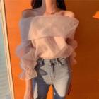 Sheer Blouse Champagne Pink - One Size