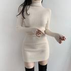 Turtleneck Long-sleeve Ribbed Sheath Dress
