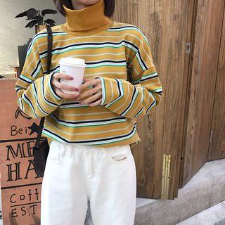 Turtleneck Stripes Sweatshirt