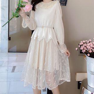 Set: Long-sleeve Mesh Midi Dress + Vest