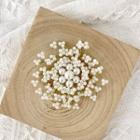 Faux Pearl Brooch White & Gold - One Size