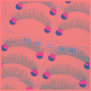 Eyelash (219) 10 Pairs