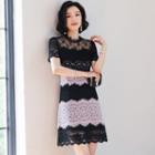 Two-tone Short-sleeve A-line Lace Dress