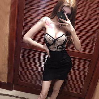 Lace Paneled Mini Tube Bodycon Dress