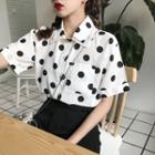 Dotted Short-sleeve Chiffon Blouse As Shown In Figure - One Size