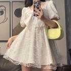 Puff-sleeve Bow Panel Mesh Dress