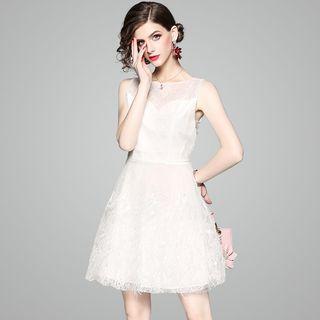 Sleeveless Feather-accent Lace A-line Dress