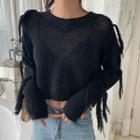 Fringed Pointelle Knit Cropped Sweater