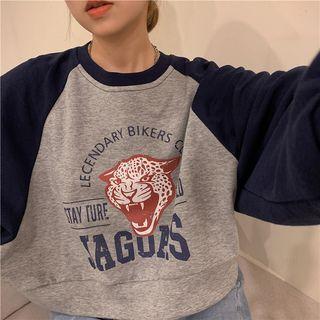 Long-sleeve Raglan Print T-shirt