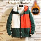 Color Block Fleece Lined Zipped Hooded Jacket