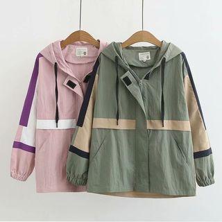 Plain Shirt With Tie / Color Block Hooded Zip Jacket