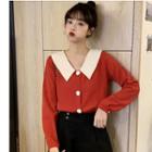 Long-sleeve Pointed Collar Top