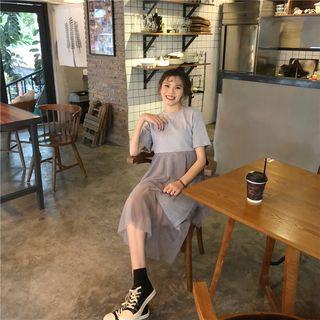 Layered Mesh Panel Short Sleeve Dress