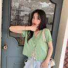 V Collar Plain Short-sleeved Knit Top