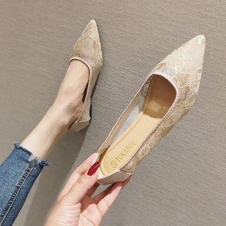 Pointy-toe Mesh Panel Flats