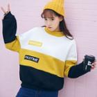 Color Block Lettering Embroidered Sweatshirt