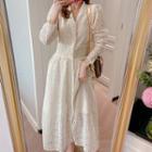 Long-sleeve Eyelet Lace A-line Midi Dress