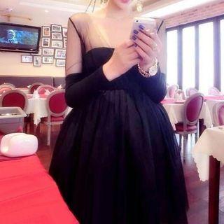 Long-sleeve Sheer Panel Tulle Dress