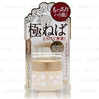 Brilliant Colors - Remoist Cream (extreme) 30g