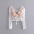 V Neck Long-sleeve Top