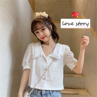 Short-sleeve Collared Perforated Blouse