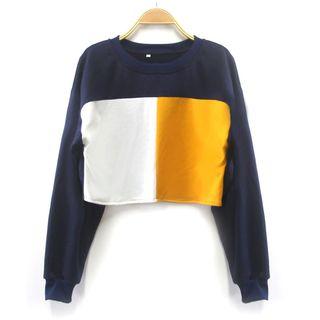 Long Sleeve Color Block Cropped Top