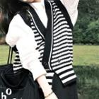 Striped Button-up Sweater Vest / Long-sleeve Shirt / Set