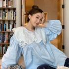 Puff-sleeve Eyelet Lace Panel Blouse
