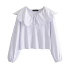 Scalloped Collar Plain Cropped Blouse