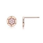 925 Sterling Silver Plated Rose Gold Simple Geometric Round Stud Earrings With Cubic Zircon Rose Gold - One Size