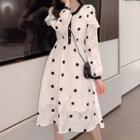 Dotted Lace Long-sleeve Midi A-line Dress