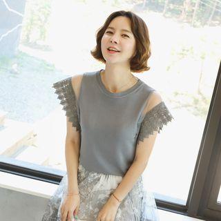 Mesh-trim Lace Sleeve Knit Top