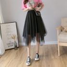 Asymmetrical Mesh Midi Skirt