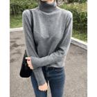 Turtle-neck Cashmere Blend Sweater