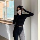Turtle-neck Silky Cropped T-shirt