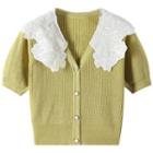 Short-sleeve Lace Collar Knit Top Mustard Yellow - One Size