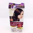 Dariya - Salon De Pro Grey Hair Coloring Liquid (#6 Brown Black) 1 Set