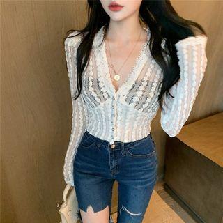 Cropped Long-sleeve Sheer Lace Blouse