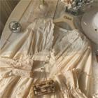 Eyelet Lace Panel V-neck Long-sleeve Blouse
