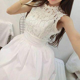 Embroidered Lace Panel Sleeveless Dress