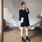 Color Panel Long Sleeve Chiffon Dress