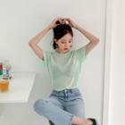 Pastel-color See-through Knit Top