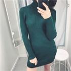 Turtleneck Long-sleeve Knit Mini Sheath Dress