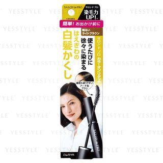 Dariya - Salon De Pro Color On Retouch Gray Hair Kakushi Ex (bright Light Brown) 15ml