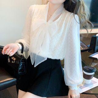 Long-sleeve Mesh Lace Panel Blouse