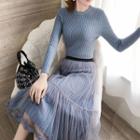 Long-sleeve Midi Knit Dress / Midi Mesh A-line Skirt / Set