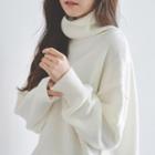 Turtleneck Plain Sweater White - One Size
